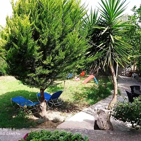 Julia Apartment Tsilivi (Zakynthos)